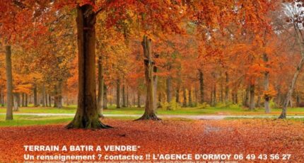 Mennecy Terrain à bâtir - 2309669-10545annonce1202510179cmvP.jpeg Maisons Open