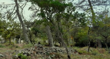 Saint-Maximin-la-Sainte-Baume Terrain à bâtir - 2310236-10744annonce320251019Uwgct.jpeg Maisons Open