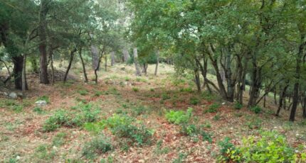 Saint-Maximin-la-Sainte-Baume Terrain à bâtir - 2310233-10744annonce420251019t4Qi2.jpeg Maisons Open