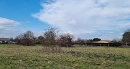 Lavernose-Lacasse Terrain à bâtir - 2247682-10326annonce120250820Ae2ND.jpeg Maisons Open