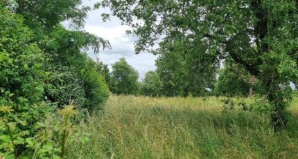 Seysses Terrain à bâtir - 2245518-10326annonce120250814BMVQo.jpeg Maisons Open