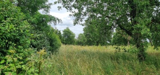 Terrain à bâtir à Seysses, Occitanie