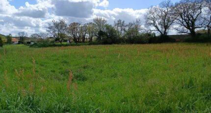 Saint-Sulpice-sur-Lèze Terrain à bâtir - 2247305-10326annonce120250820SopwF.jpeg Maisons Open