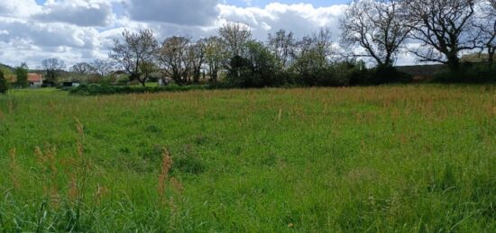 Terrain à bâtir à Saint-Sulpice-sur-Lèze, Occitanie