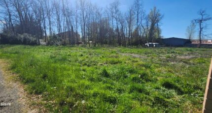 Lagrave Terrain à bâtir - 2269784-2684annonce120250912Xrmui.jpeg Maisons Open