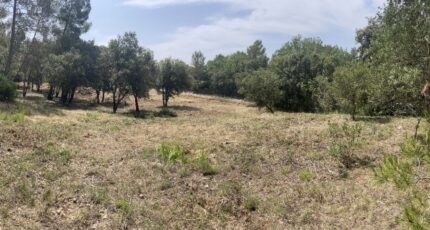 Taradeau Terrain à bâtir - 2310596-10295annonce320250624vNEAs.jpeg Maisons Open