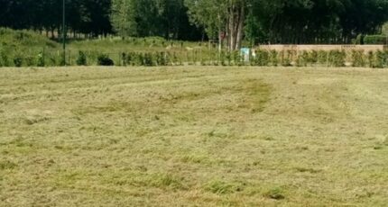 Amfreville-les-Champs Terrain à bâtir - 2310808-1887annonce1202510206b1os.jpeg Maisons Open