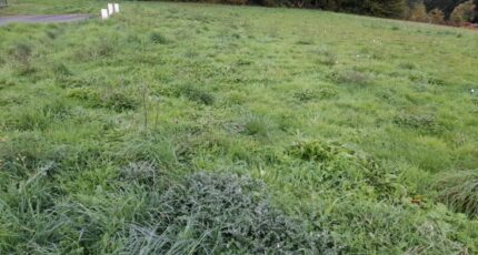 Couzeix Terrain à bâtir - 2310742-3291annonce120251020eDP1h.jpeg Maisons Open