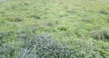 Couzeix Terrain à bâtir - 2310742-3291annonce22025102056IWg.jpeg Maisons Open