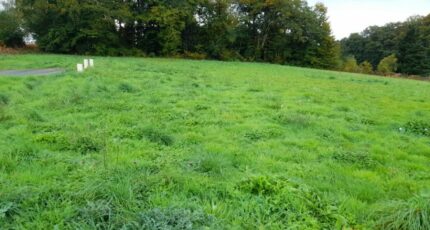 Couzeix Terrain à bâtir - 2310742-3291annonce32025102016Cia.jpeg Maisons Open