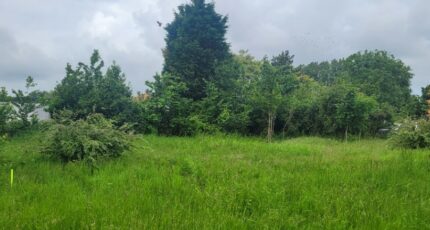 Loon-Plage Terrain à bâtir - 2247044-1587annonce320250819kVFhi.jpeg Maisons Open