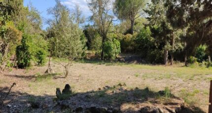 Saint-Jean-de-Barrou Terrain à bâtir - 2311251-10986annonce120251020DM5GA.jpeg Maisons Open