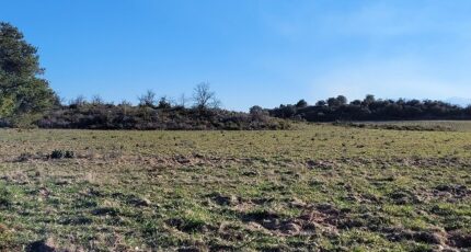 Pollestres Terrain à bâtir - 2311569-4671annonce120251020A3VzZ.jpeg Maisons Open