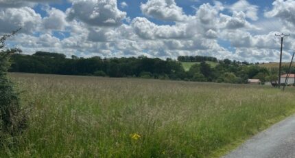 Busque Terrain à bâtir - 2276436-2684annonce12025091987OpJ.jpeg Maisons Open