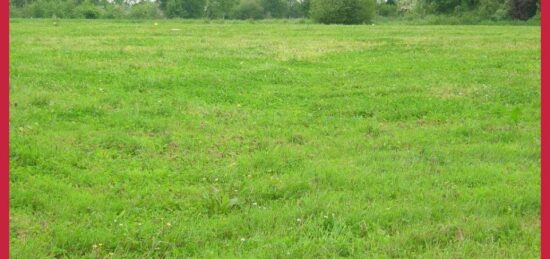 Terrain à bâtir à Montauban, Occitanie