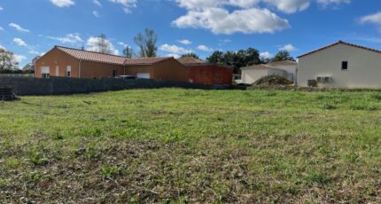 Lavilledieu Terrain à bâtir - 2313364-6150annonce3202510222Jbq9.jpeg Maisons Open