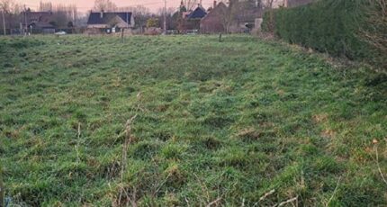 Brillon Terrain à bâtir - 2245316-10863annonce320250814ET9RF.jpeg Maisons Open