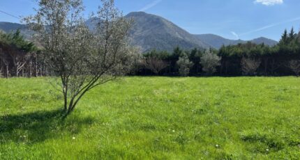 Condorcet Terrain à bâtir - 2313661-6150annonce120250628LC1W5.jpeg Maisons Open