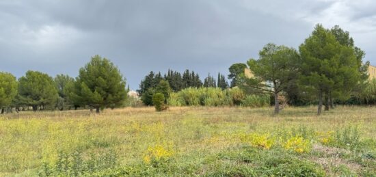 Terrain à bâtir à Saint-Pargoire, Occitanie