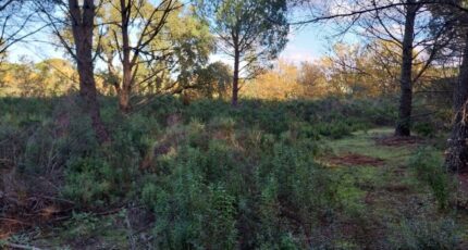 Puget-sur-Argens Terrain à bâtir - 2314468-11157annonce2202510228Jg4I.jpeg Maisons Open