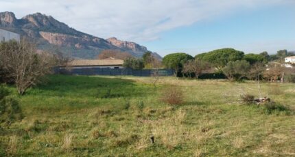 Roquebrune-sur-Argens Terrain à bâtir - 2314435-11157annonce120251022US6ZG.jpeg Maisons Open