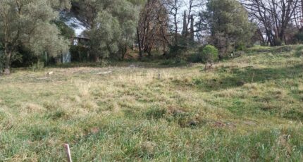 Roquebrune-sur-Argens Terrain à bâtir - 2314435-11157annonce220251022iFCJ9.jpeg Maisons Open