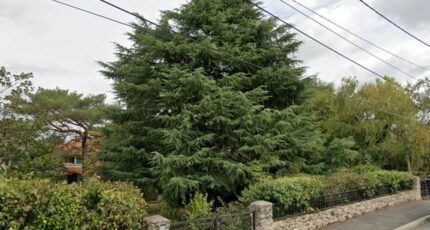 Villemoisson-sur-Orge Terrain à bâtir - 2314452-10545annonce220251022T0aqx.jpeg Maisons Open