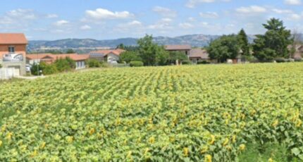 Viriville Terrain à bâtir - 2315077-11248annonce120251023CoFTM.jpeg Maisons Open