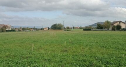 Viriville Terrain à bâtir - 2315077-11248annonce320251023FTgRd.jpeg Maisons Open