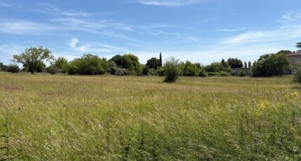 Montpitol Terrain à bâtir - 2312511-11356annonce320251021yChxw.jpeg Maisons Open