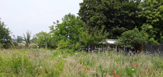 Terrain à bâtir à Cuts, Hauts-de-France