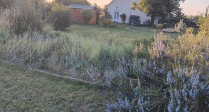 Coulommiers Terrain à bâtir - 2250669-11570annonce120250825CMqp7.jpeg Maisons Open