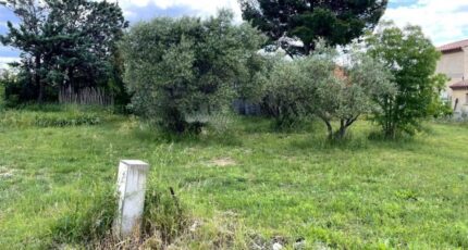 Montpeyroux Terrain à bâtir - 2277046-10896annonce2202509199FTA2.jpeg Maisons Open