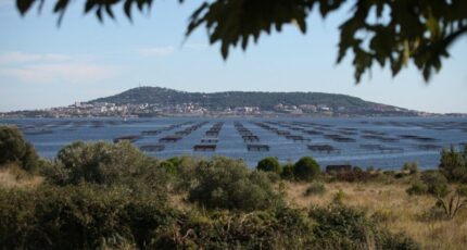 Mèze Terrain à bâtir - 2282149-10896annonce320250924MlKe0.jpeg Maisons Open