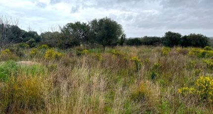 Mèze Terrain à bâtir - 2280439-10896annonce220250923U50Ca.jpeg Maisons Open