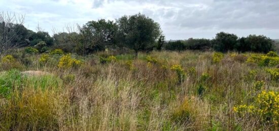Terrain à bâtir à , Hérault