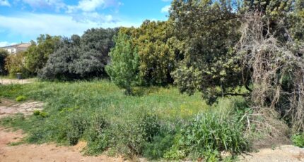 Canet Terrain à bâtir - 2318263-11040annonce120251026taXb4.jpeg Maisons Open