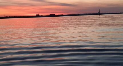 Gujan-Mestras Terrain à bâtir - 2246673-11151annonce1202508193cRMX.jpeg Maisons Open