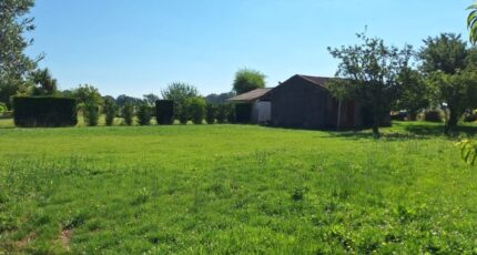 Montaigut-sur-Save Terrain à bâtir - 2316387-9555annonce120251024XF9yT.jpeg Maisons Open