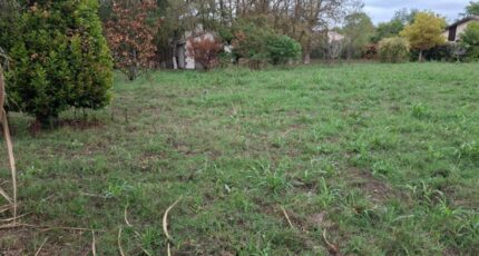 Tournefeuille Terrain à bâtir - 2316320-9555annonce120251024mVUoE.jpeg Maisons Open