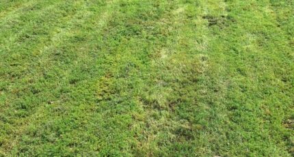 Verdun-sur-Garonne Terrain à bâtir - 2318098-3575annonce2202510251Tw40.jpeg Maisons Open