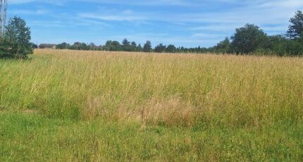 Cologne Terrain à bâtir - 2318458-3575annonce220251026TewaV.jpeg Maisons Open