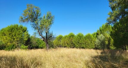 Alès Terrain à bâtir - 2318731-4620annonce220251027iTMiO.jpeg Maisons Open