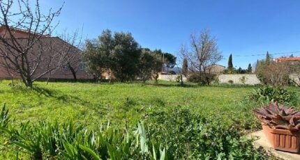 Sorède Terrain à bâtir - 2319080-4671annonce120251027TRO8s.jpeg Maisons Open