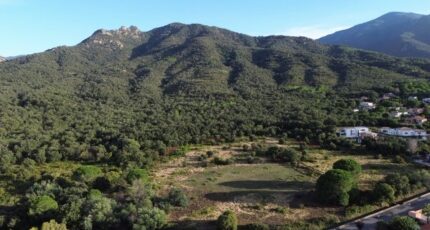 Sorède Terrain à bâtir - 2319096-4671annonce1202510275A2yV.jpeg Maisons Open