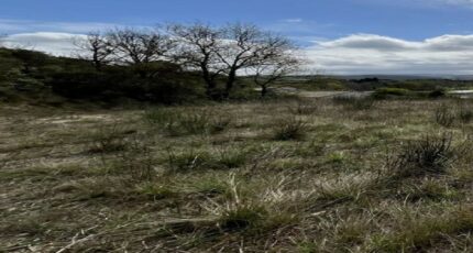 Saint-Martin-de-Villereglan Terrain à bâtir - 2319239-10986annonce120251027OQCWa.jpeg Maisons Open