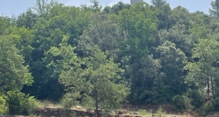 Taradeau Terrain à bâtir - 2319216-10744annonce220251027rnylg.jpeg Maisons Open