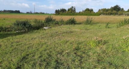 Sains-en-Gohelle Terrain à bâtir - 2318973-5754annonce220251027kA5bK.jpeg Maisons Open