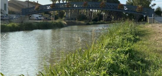 Terrain à bâtir à , Aude