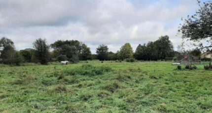 Beuzeville Terrain à bâtir - 2319751-11227annonce120251028vUERX.jpeg Maisons Open